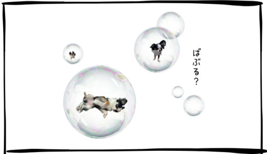 9月29日＜買＞パンパシフィックHD、味の素