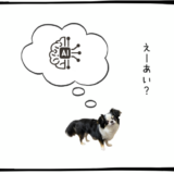 10月15日＜利確＞レーザーテック、＜買＞SHIFT、テックトップ20