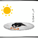 10月8日＜売＞古河電工、大林組、＜買＞ローム