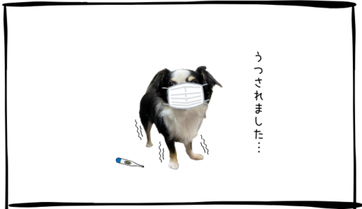 10月23日＜利確＞川崎重工、三井E&S、＜買＞レーザーテック、純金上場信託