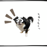 10月9日＜利確＞古河電工、＜買＞三井E＆S、NTT