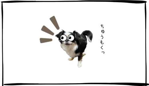 10月9日＜利確＞古河電工、＜買＞三井E＆S、NTT