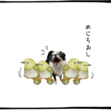10月24日＜利確＞川崎重工、＜買＞純金上場信託