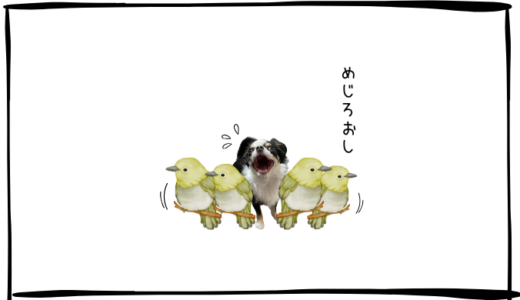 10月24日＜利確＞川崎重工、＜買＞純金上場信託