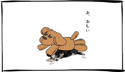 11月21日＜売＞村田製作所、＜買＞USテックトップ20