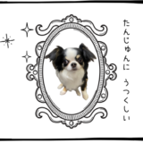 11月19日＜買＞三菱UFJフィナンシャル、USテックトップ20