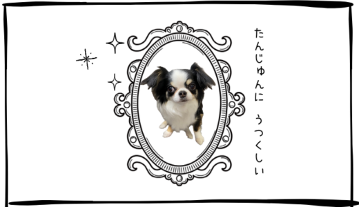 11月19日＜買＞三菱UFJフィナンシャル、USテックトップ20