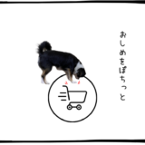 11月17日＜利確＞三井E&S、トヨタ自動車、＜買＞村田製作所、クボタ