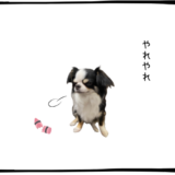 11月26日＜利確＞クボタ、＜売＞王子、ミネビアミツミ