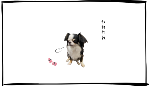 11月26日＜利確＞クボタ、＜売＞王子、ミネビアミツミ