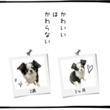 10月31日＜利確＞古河電工、レーザーテック、三菱重工業、＜買＞クボタ