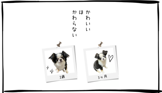 10月31日＜利確＞古河電工、レーザーテック、三菱重工業、＜買＞クボタ