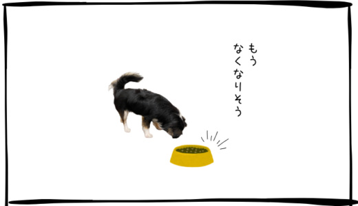 11月18日＜利確＞スカパーJSAT、＜買＞富士通、純金上場信託、USテックトップ20