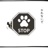 11月25日＜売買なし＞