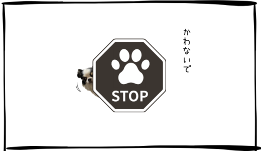 11月25日＜売買なし＞