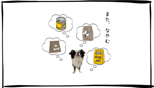 12月10日＜売買なし＞