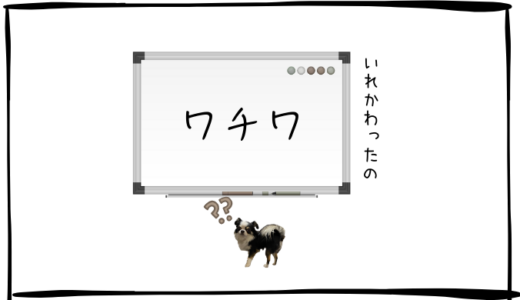 12月11日＜買＞USテック・トップ20