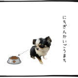 12月17～18日＜買＞三菱UFJ、本田技研、米国REIT